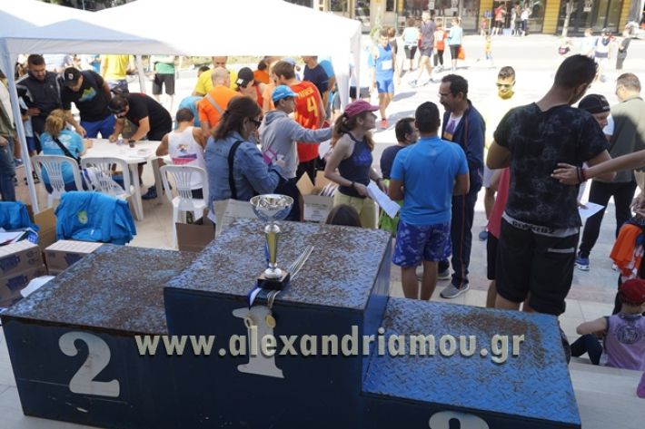 alexandriamou_1_alexandrinos_dromos092